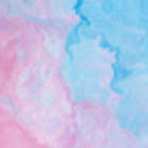 Meet your Posher, Adela